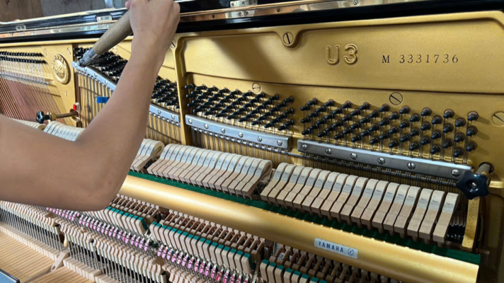 Kỹ thuật viên Sky Music kiểm tra và lên dây piano Yamaha U3 trước khi bàn giao cho khách hàng