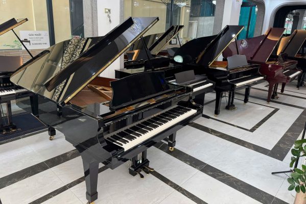 Không gian trưng bày piano G5E