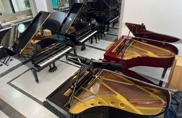 Piano grand Yamaha C5 nhập Nhật được trưng bày cùng nhiều mẫu piano grand cao cấp