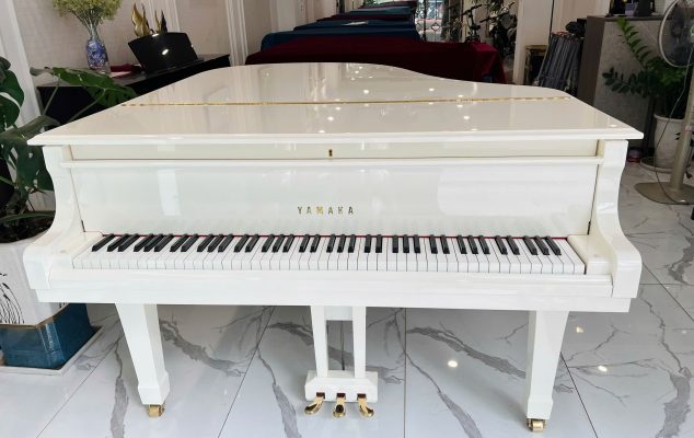 trải nghiệm piano grand yamaha tại showroom