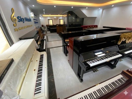 Không gian showroom piano với nhiều đàn cơ và điện để khách trải nghiệm trực tiếp