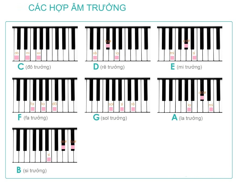 Hợp âm là gì? Tìm hiểu cấu trúc, ký hiệu và cách chơi hợp âm cơ bản